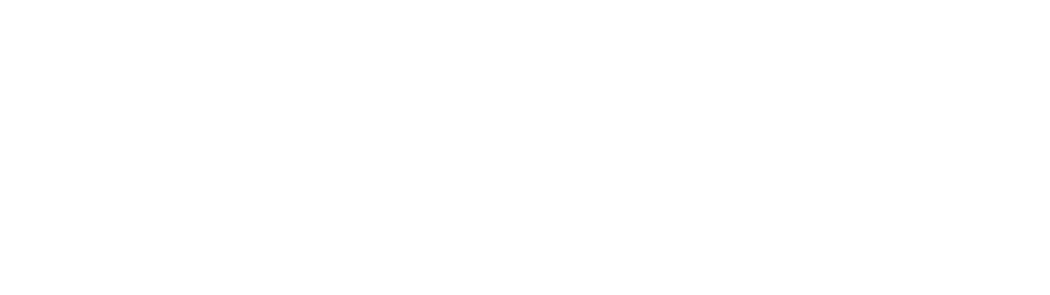 Magnum Companies